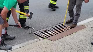 Kind People and Fire Department Rescue Kitten in Street Gutter