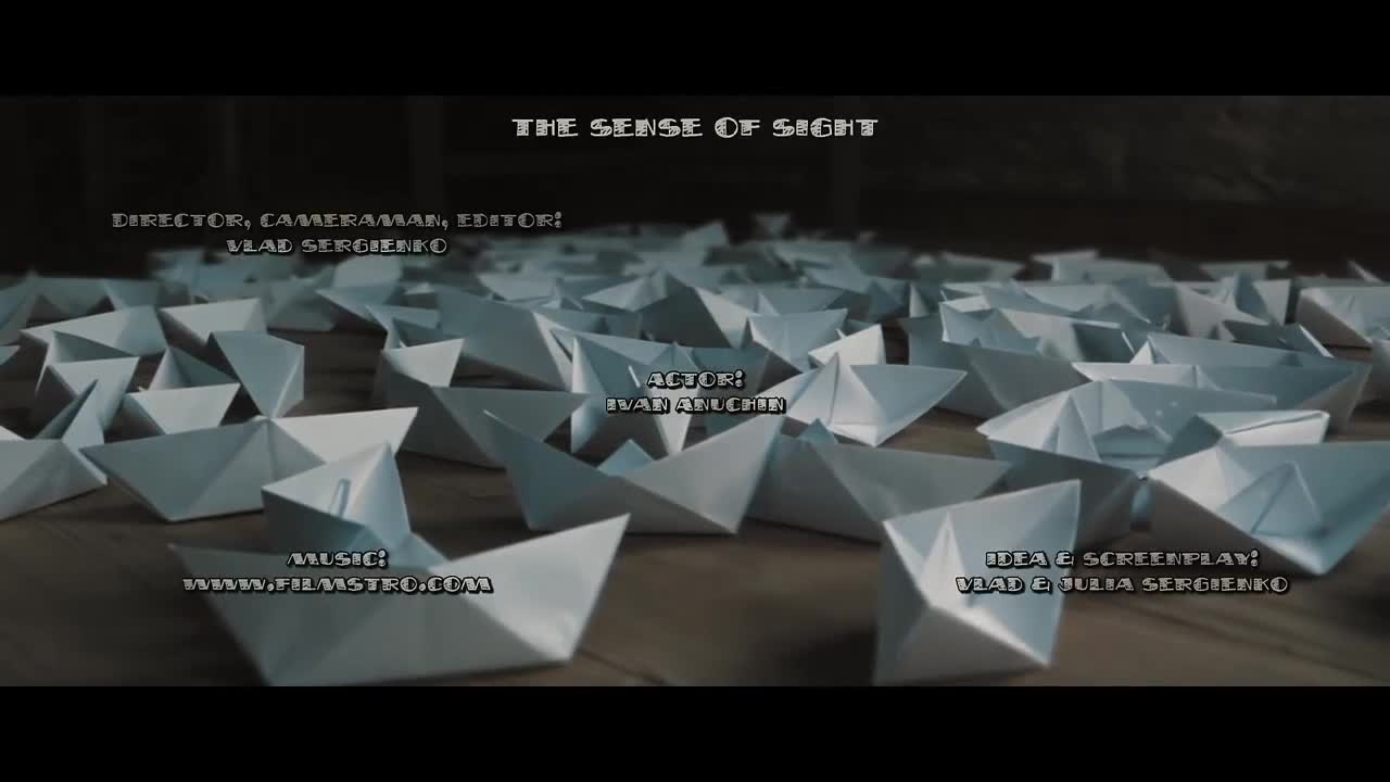 The Sense of Sight (one minute short)