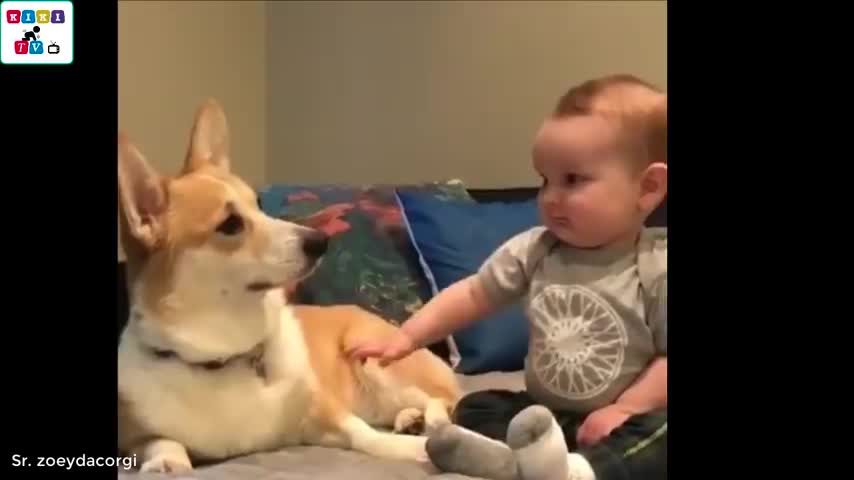 Try not to faill in love