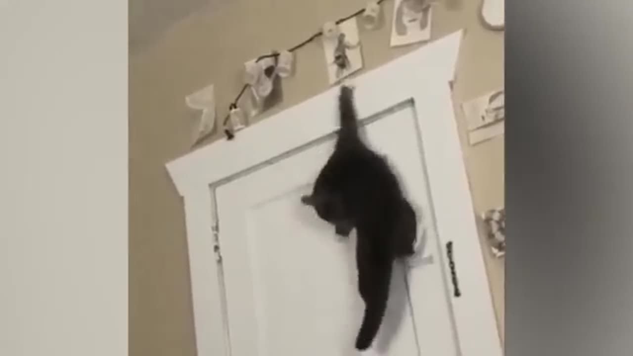 Funny Video Part 10