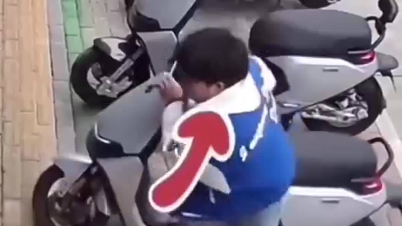 Respect video