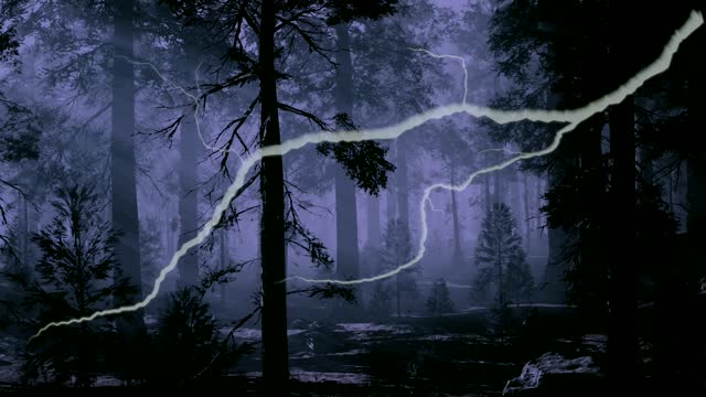 Weirdling Woods: COMING SOON