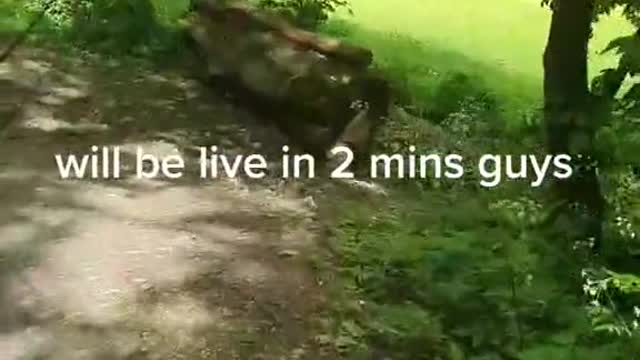 quick trout session guys jump in and lets crank some fish