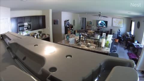 Guy Wacks His Hand in the Ceiling Fan Getting Excited Over a Football Game