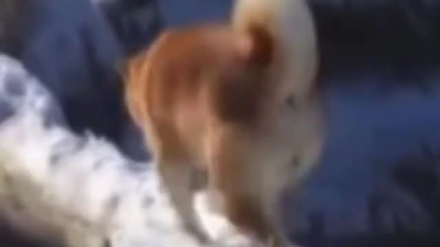 He was close to the goal, but he was defeated!