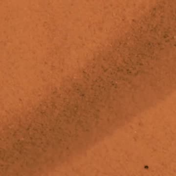 Erwin Rommel, the Desert Fox, with a Life Path Number of 9