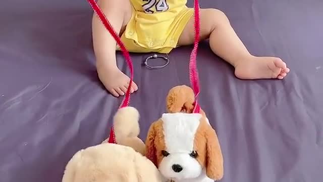 Baby With Dogs.😂😂