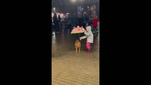 Little girl holds umbrella for a dog