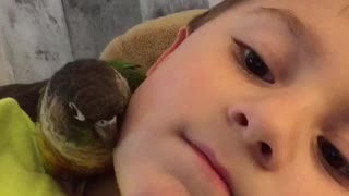 Parrot snuggles with new best friend