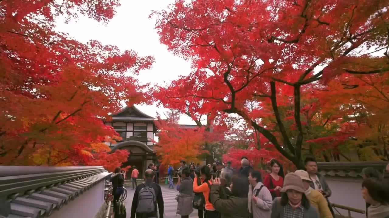 Kyoto Japan - Hyper Motion ｜ Glidecam HD4000