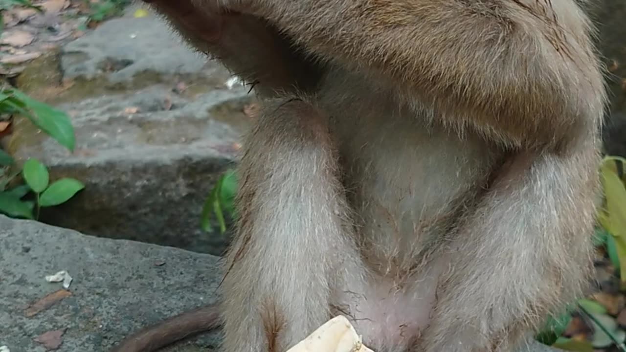 Young Boy eating some bread