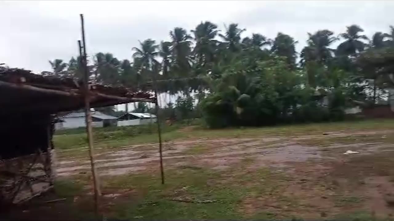 Vacant land view