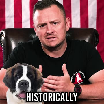 Top 3 Dog Breeds for Surviving an Avalanche