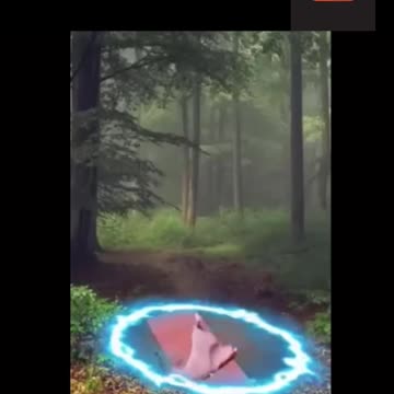 The end 🤣😂🤣 #shorts #funnyvideos #Funny #fails