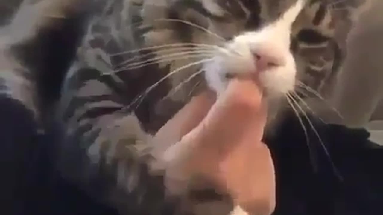 It mine