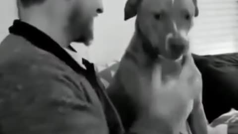 Puppy Bloopers: Adorable Mishaps and Misadventures