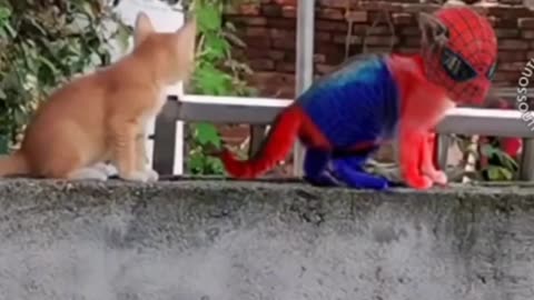 😂😂 Funny animal videos 😂🤣