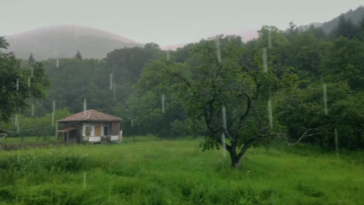 Village rain ( cool nature )