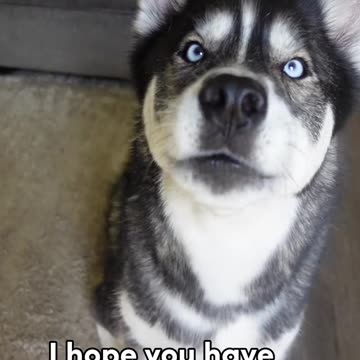 A little Monday motivation from Titan 🤍