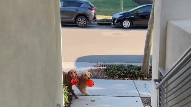 Boo! 👻👻