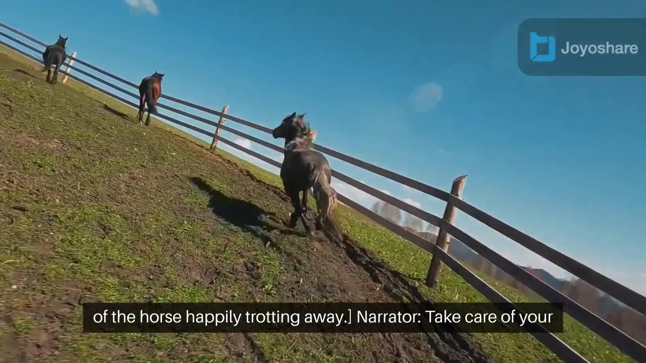 Did You Know? Horses Can't Burp