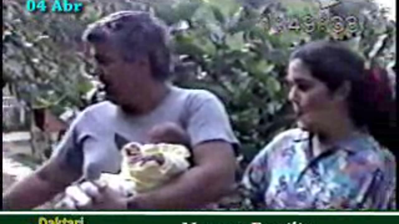 1992 M04 Alejandro de 14 días en Daktari +