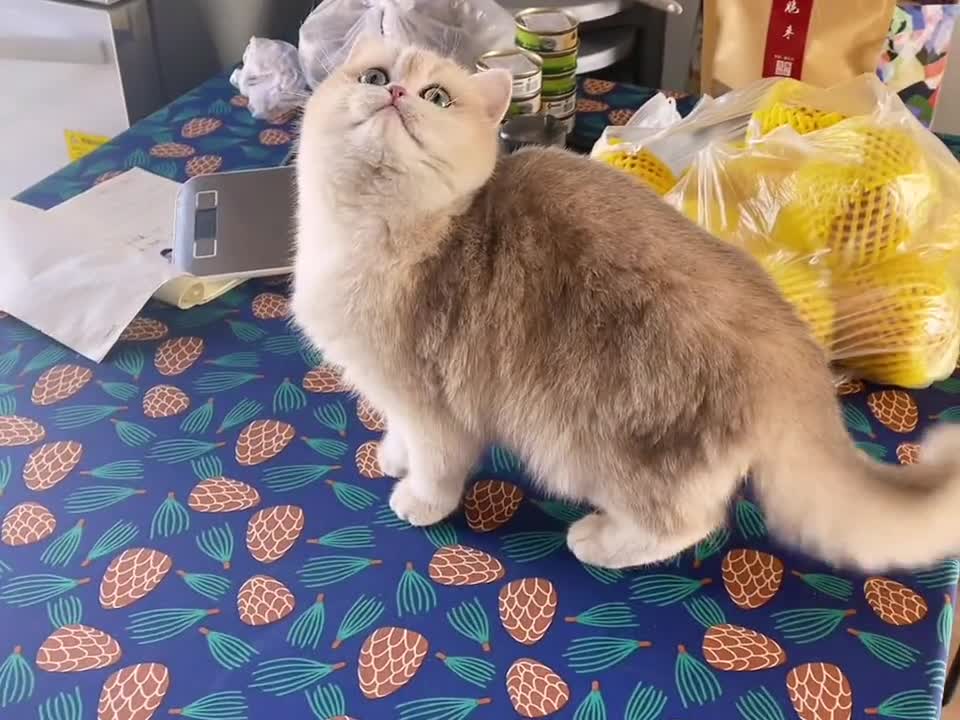 It makes me feel better