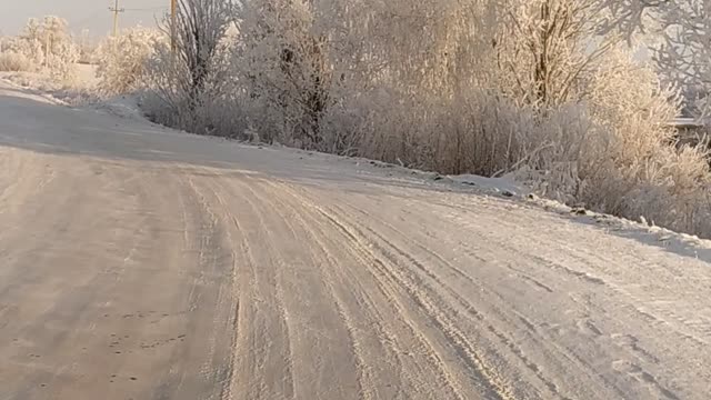 the winter road