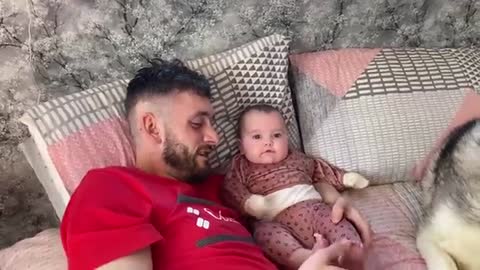 Husky Wakes Baby Up In The Cutest Way! & She Won’t Stop Smiling!!