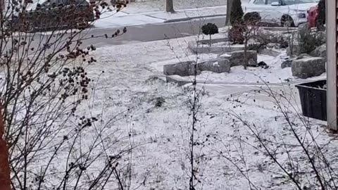 Snow Fall Canada 2024