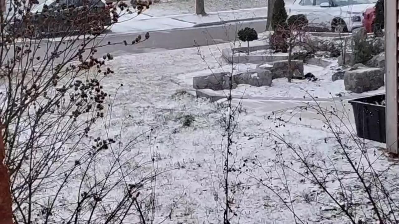 Snow Fall Canada 2024