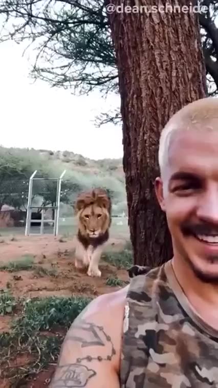 THE REAL 🦁 LION KING