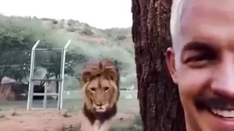 THE REAL 🦁 LION KING