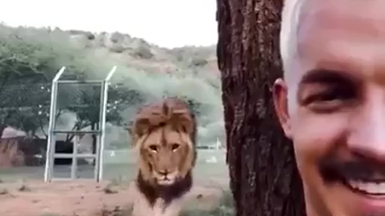 THE REAL 🦁 LION KING