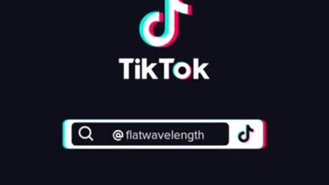 Bird Side Of TikTok