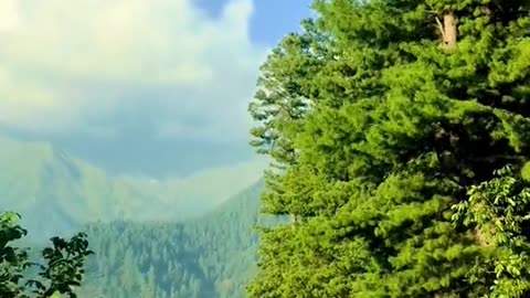 Beauty of Pakistan