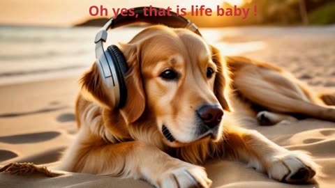 My life as a DOG