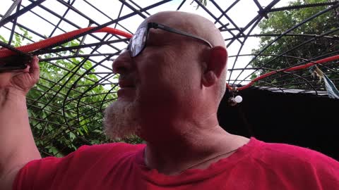 WHAT'S HAPPENING ON THE DOME 1