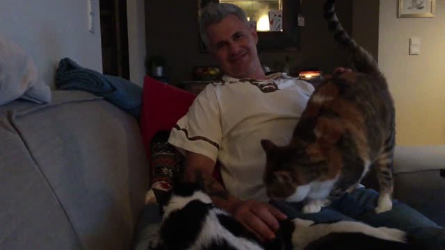 Dog Refuses to Share Owner's Affection With Cat by Tossing Them Off His Lap