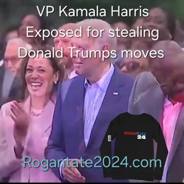 Vice president kamala Harris caught exposed non violent crime stealing tiktok