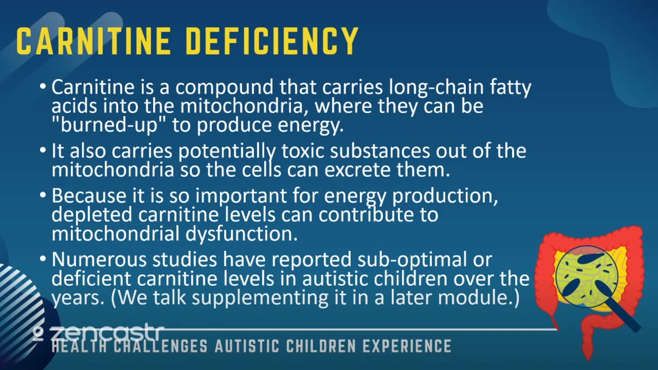 39 of 63 - Carnitine Deficiency - Health Challenges Autistic Children Experience