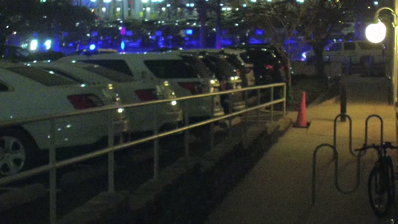 1669HQOB01SouthwestWalkway_2021-01-06_18h12min07s473ms.mp4