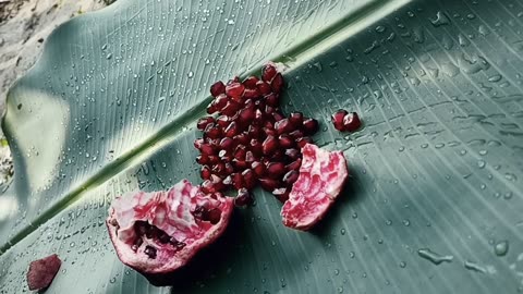 First pomegranate of my kitchen garden