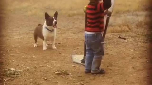 Kid and puppy playing baseball together