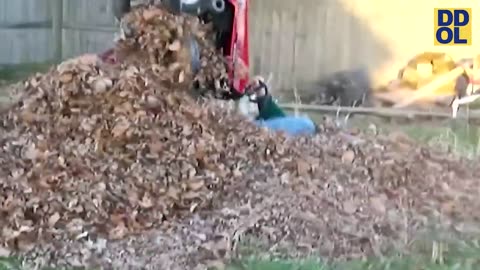 TRY NOT TO LAUGH WATCHING FUNNY FAILS VIDEOS