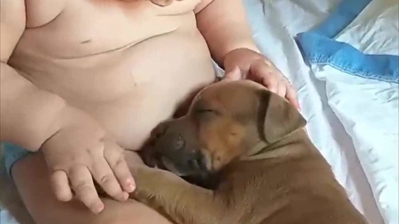 Adorable Baby Touches Sleepy Puppy as It Lays in His Lap