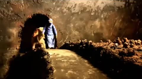 The allegory of Plato's Cave