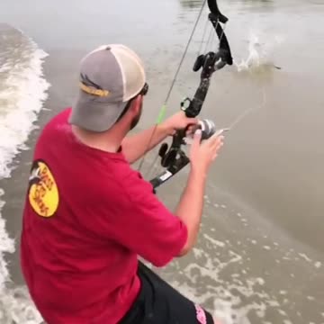 Spear Fishing Skills! #skillsshowcase #shorts