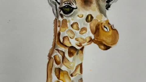 Giraffe