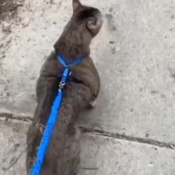 News Break: Do you even lift?